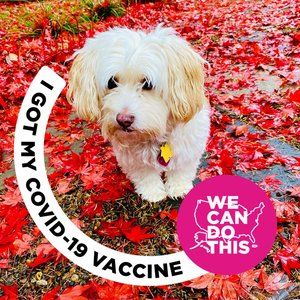 Meet your Posher, Reshmi